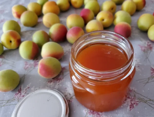 家庭でできる果肉たっぷり梅ジャムの作り方【冷凍梅もOK & はちみつが隠し味】