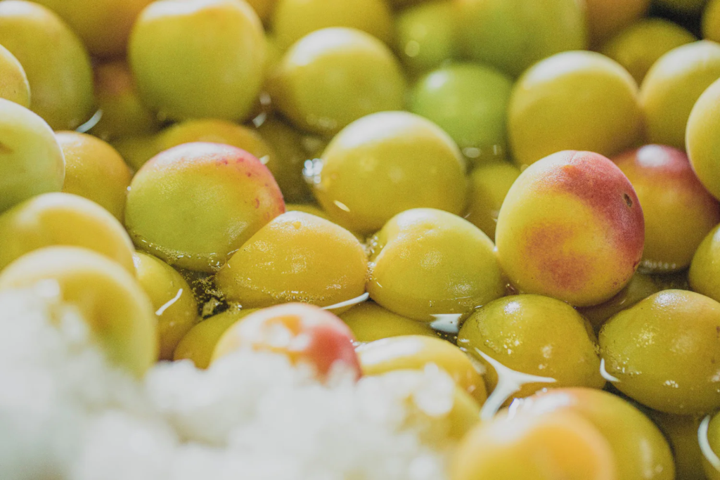 梅酢の特徴を紹介