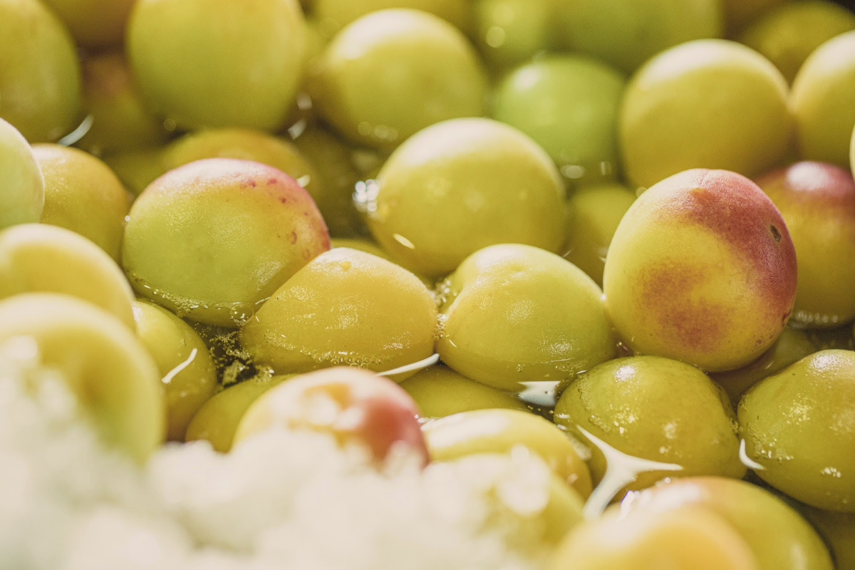 血流を整える「ムメフラール」の力